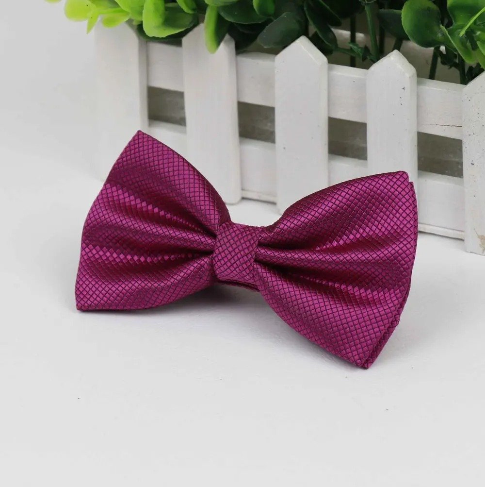 Corbatín Para Caballero Elegante - Violeta claro