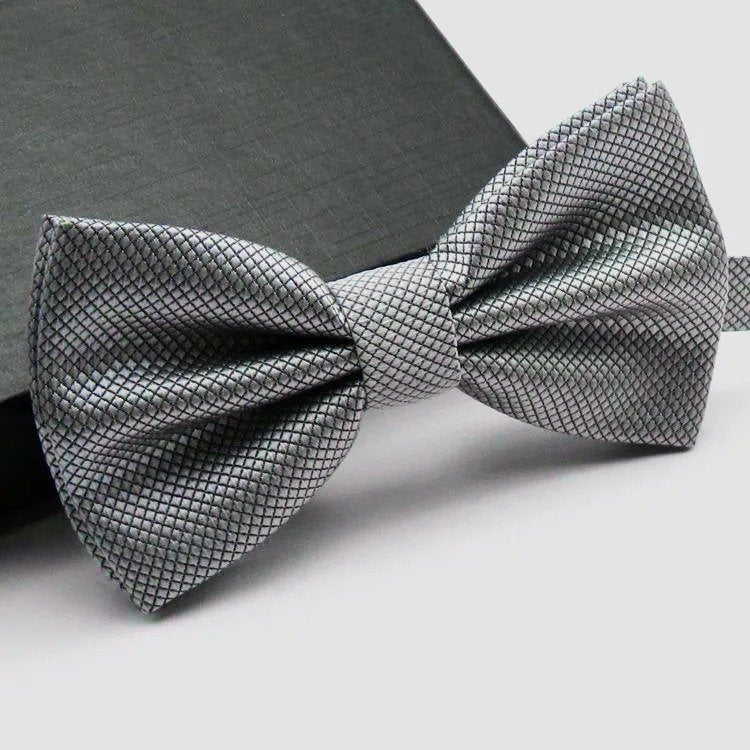 Corbatín Para Caballero Elegante - Plateado